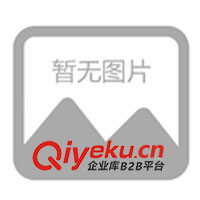 供應九運貓抱枕、抱枕被、頸枕等(圖)